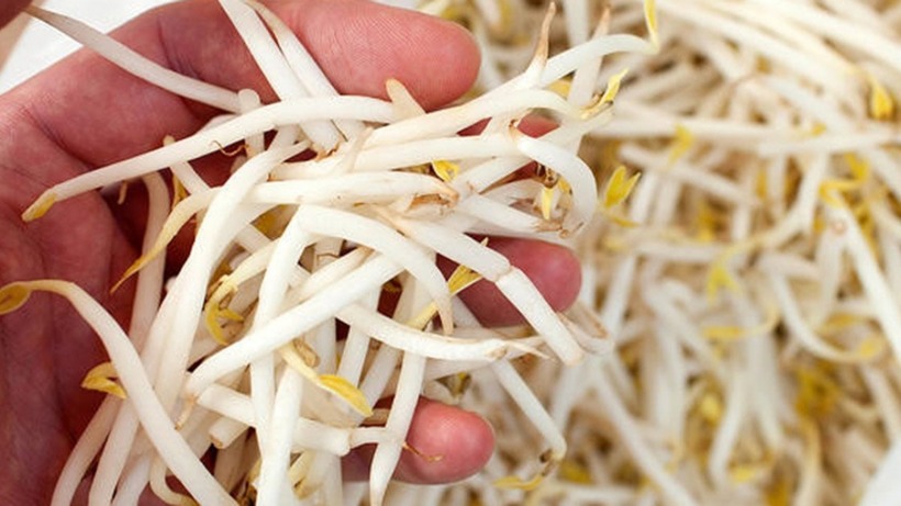 Rau Vua Thối Gan: Nguyên Nhân Gây Hại Nghiêm Trọng Hơn Rượu Bia